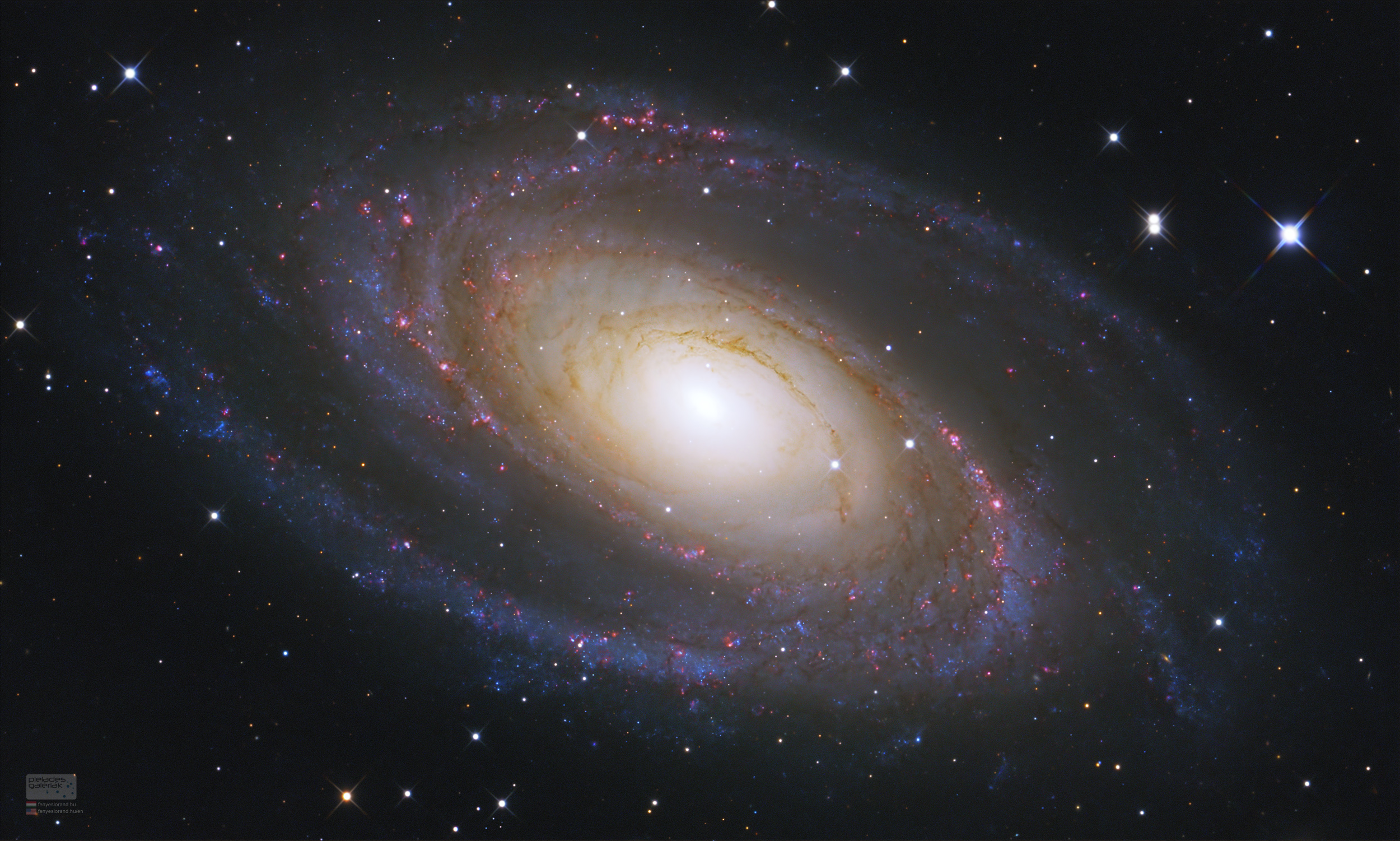 Die Spiralgalaxie im Bild ist die prachtvolle M81 im Sternbild Großer Bär. Einige Strukturen deuten eine nahe Begegnung mit einer anderen Galaxie an.