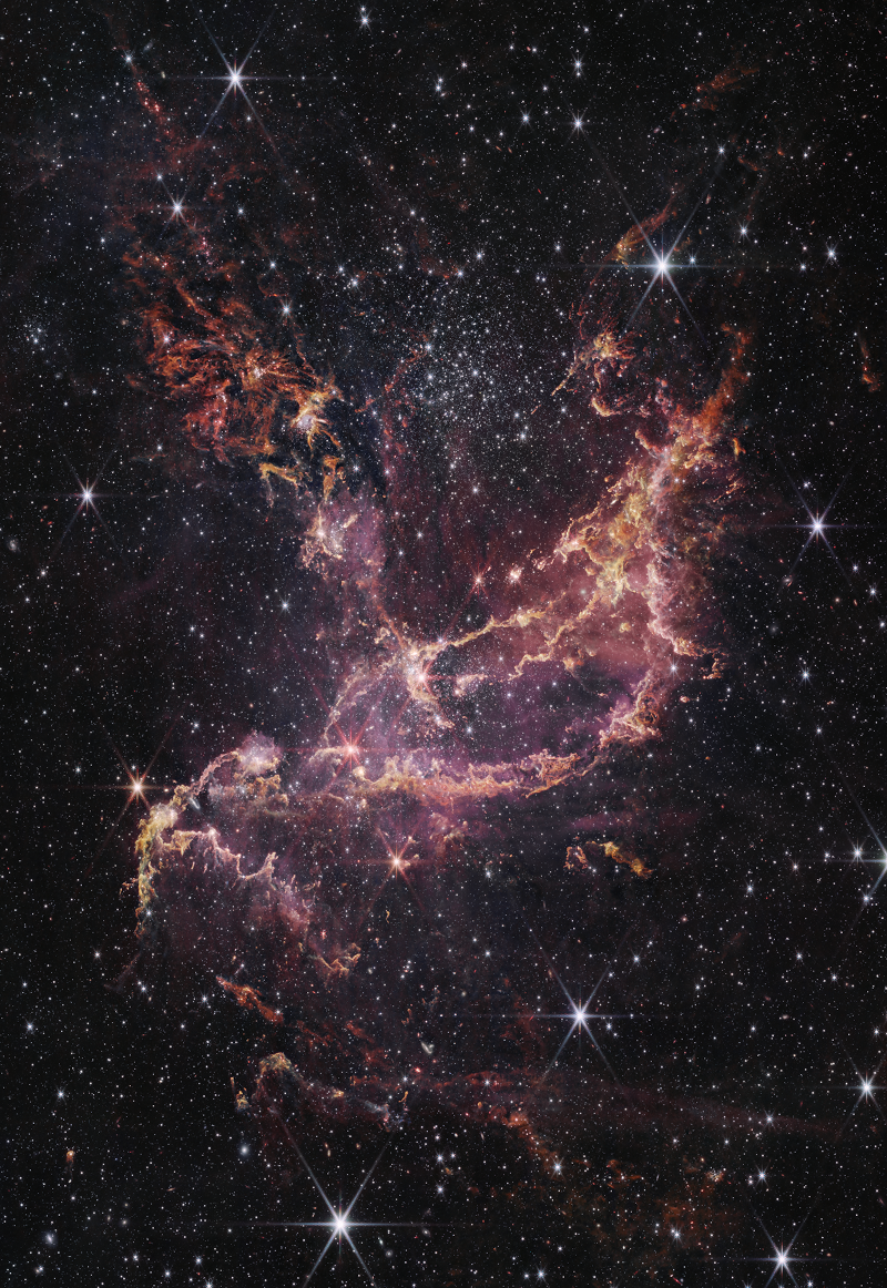 Das Bild des Weltraumteleskops Webb zeigt einen Sternhaufen aus massereichen Sternen in der Kleinen Magellanschen Wolke. Im Bild sind auch viele lose Sterne und Emissionsnebel verteilt.